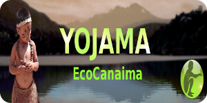 Yojama es un software ecológico, pensado y desarrollado para sistemas operativos libres