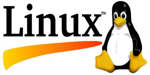 Get Linux es una aplicación recomendable para dar el salto a Linux
