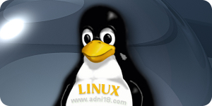 Xen finalmente integrado al kernel Linux 3.0
