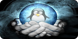 Linux va a ir a más este 2013 en todos los campos