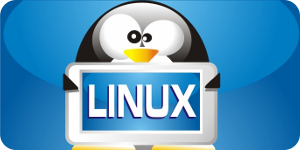 Disponible Linux 3.9